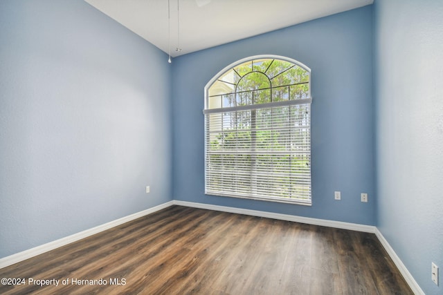 unfurnished room featuring dark wood-type flooring