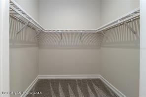 walk in closet with dark carpet