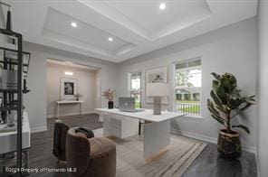 office space featuring dark hardwood / wood-style floors