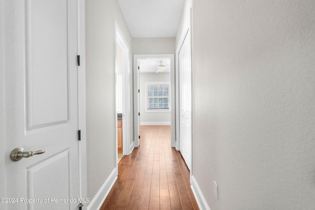 corridor with hardwood / wood-style floors