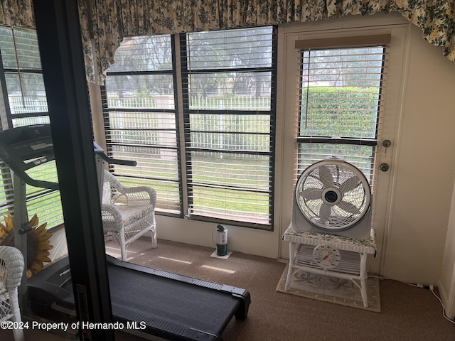 exercise room featuring a wealth of natural light and carpet