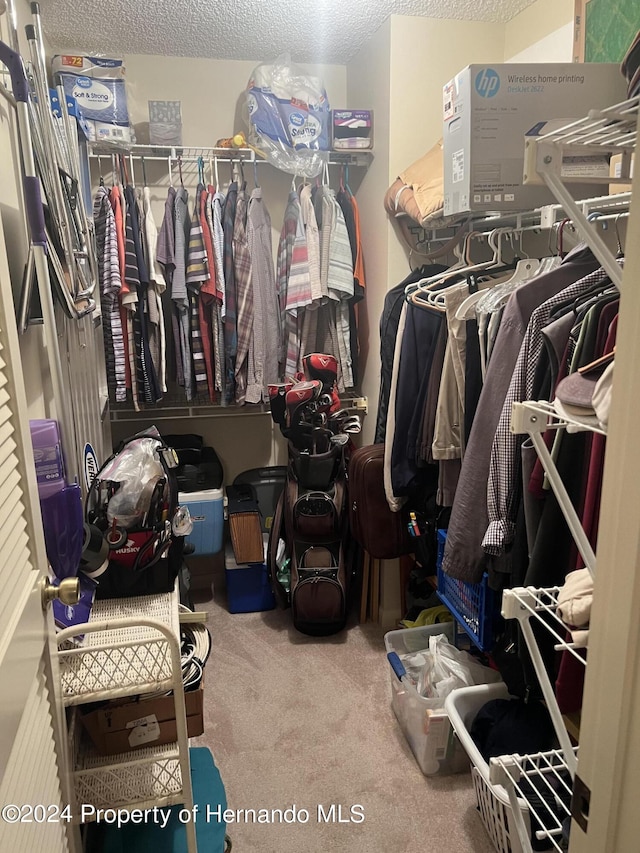 walk in closet featuring carpet