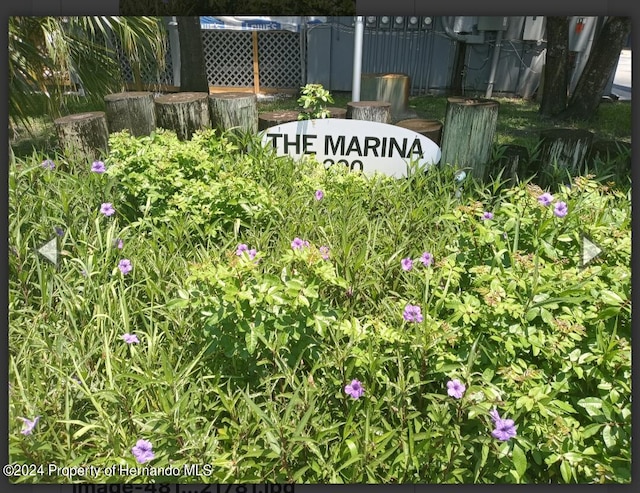 200 Meres Blvd Unit 14, Tarpon Springs, FL 34689 - photo 3