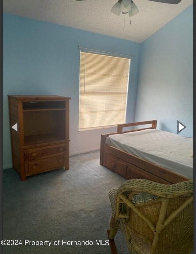 200 Meres Blvd Unit 14, Tarpon Springs, FL 34689 - photo 10