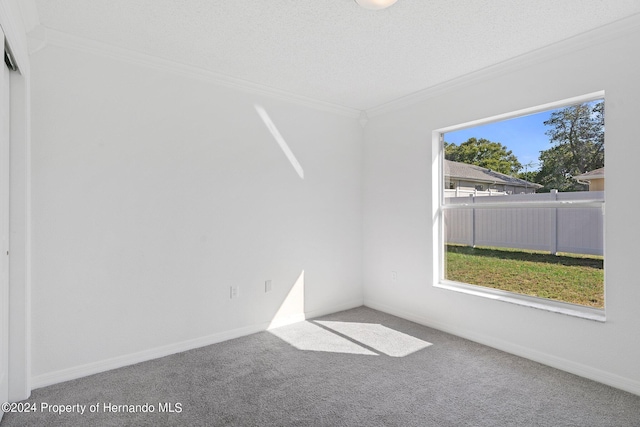 spare room with ornamental molding, a textured ceiling, and carpet