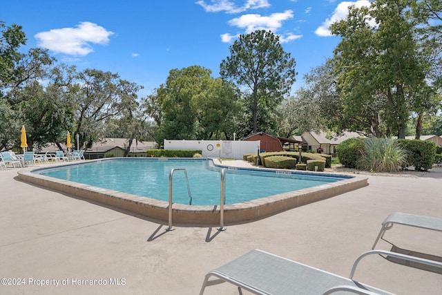 view of pool featuring a patio