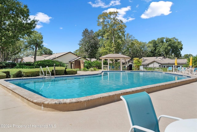 view of swimming pool