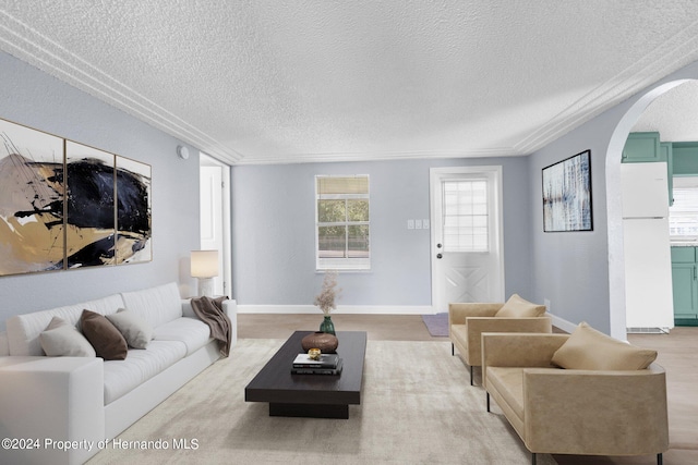 living room featuring a textured ceiling