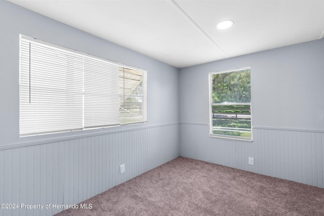 carpeted empty room with wooden walls