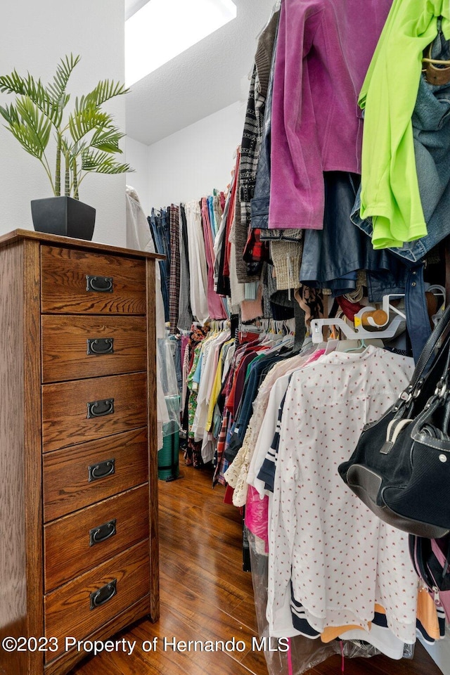 spacious closet featuring dark wood-type flooring