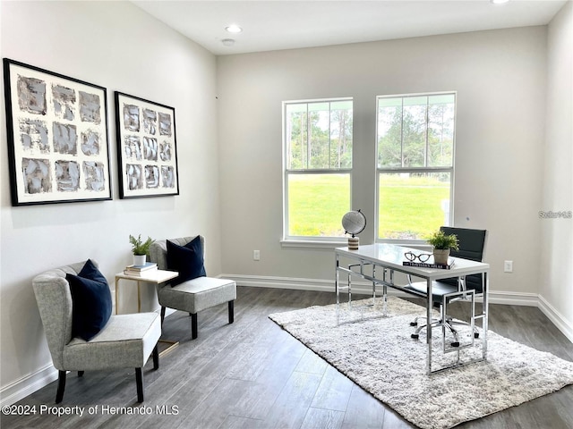 office area featuring dark hardwood / wood-style floors