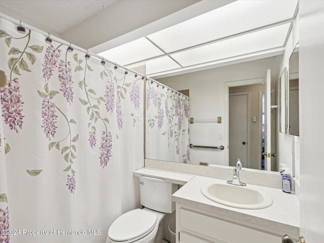 bathroom with toilet and vanity