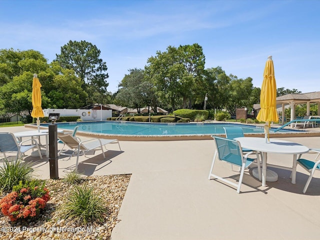 view of swimming pool with a patio