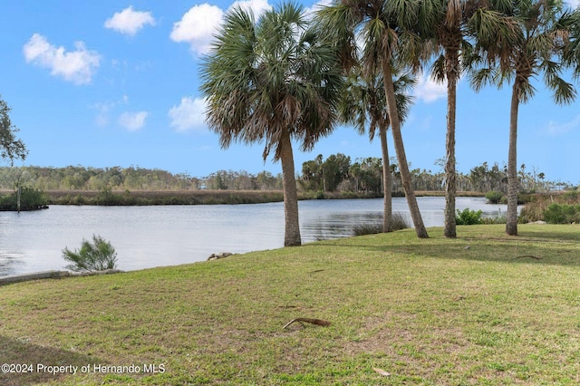 8064 Marys Fish Camp Rd, Weeki Wachee, FL 34607 - photo 4