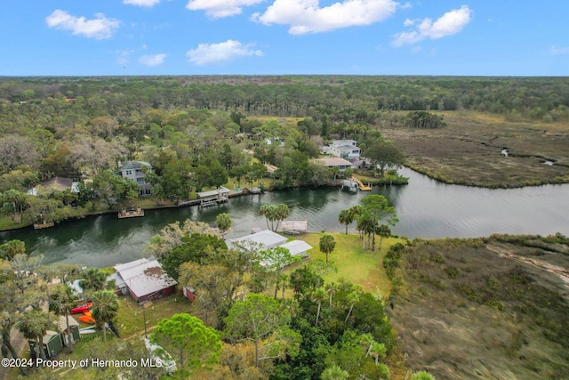 8064 Marys Fish Camp Rd, Weeki Wachee, FL 34607 - photo 39
