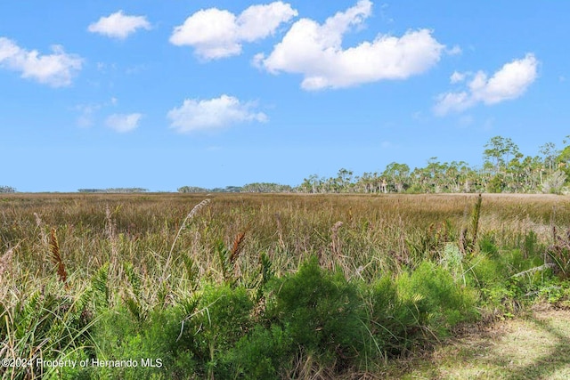 view of nature featuring a rural view