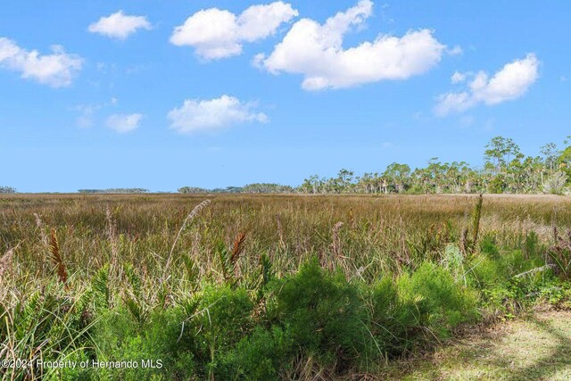 8064 Marys Fish Camp Rd, Weeki Wachee, FL 34607 - photo 45