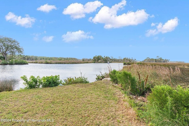 8064 Marys Fish Camp Rd, Weeki Wachee, FL 34607 - photo 10