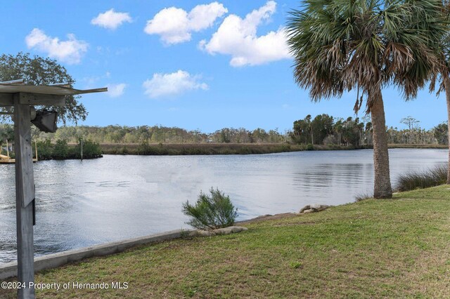8064 Marys Fish Camp Rd, Weeki Wachee, FL 34607 - photo 20