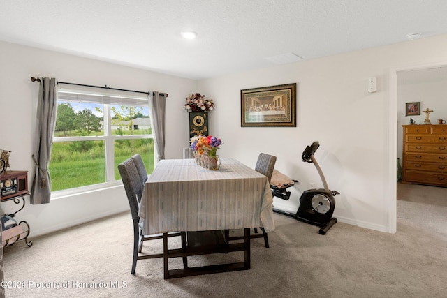 view of carpeted dining area