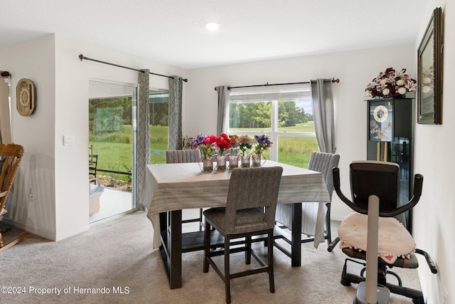 view of carpeted dining room