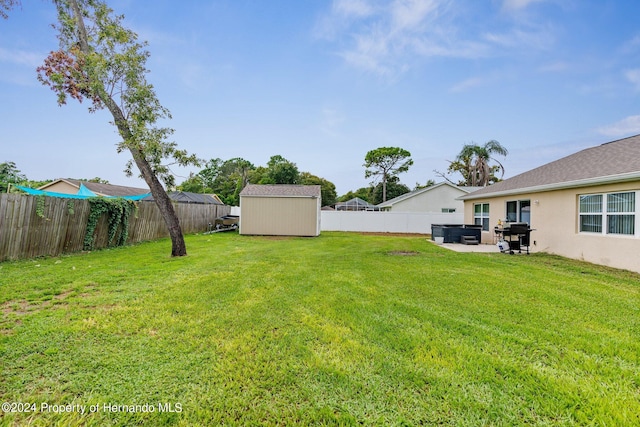 view of yard featuring a patio and a storage shed