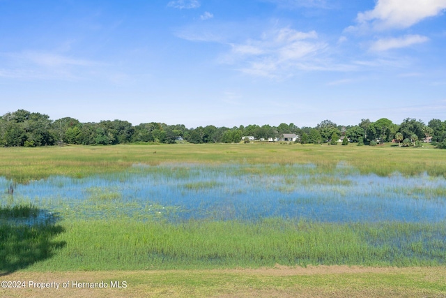 3391 Lambert Ave, Spring Hill, FL 34608 - view of water feature