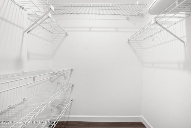 spacious closet featuring hardwood / wood-style floors