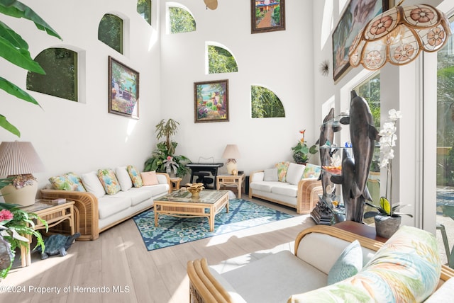 living room featuring light hardwood / wood-style floors and a high ceiling