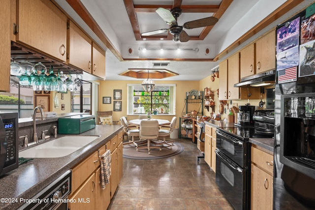 kitchen with black appliances, ceiling fan, a raised ceiling, and sink