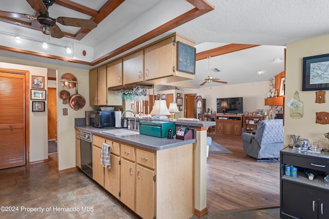 kitchen with hardwood / wood-style floors, ceiling fan, a textured ceiling, and dishwasher