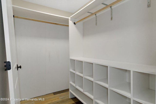 walk in closet with hardwood / wood-style floors