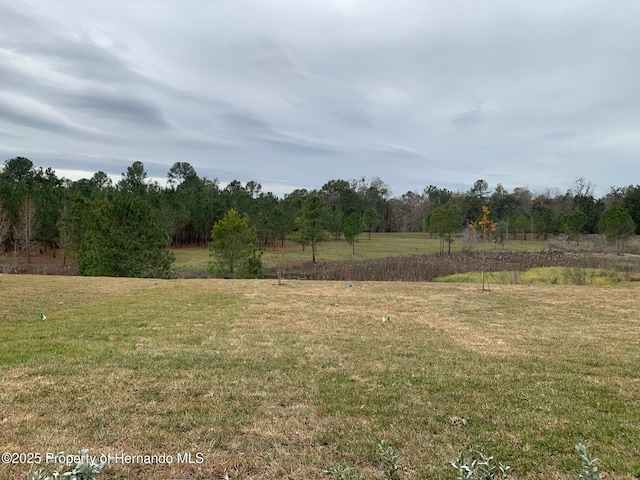 view of yard with a rural view