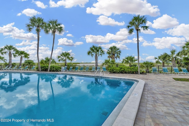 view of pool with a patio