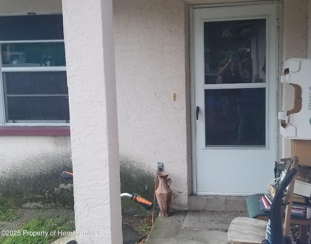 3310 68th Ave N, Saint Petersburg, FL 33702 - photo 3