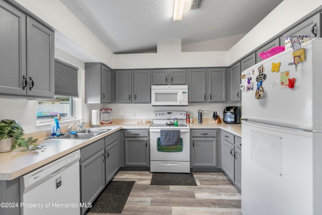 kitchen with gray cabinets, white appliances, sink, and light hardwood / wood-style flooring