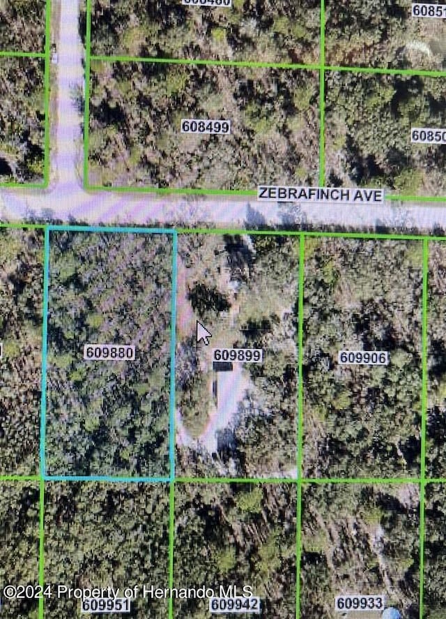 10180 Zebrafinch Ave, Brooksville FL, 34614 land for sale