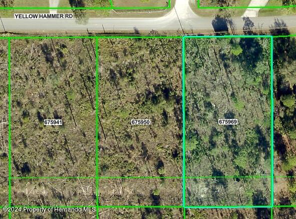 0 Yellow Hammer Rd, Weeki Wachee FL, 34614 land for sale