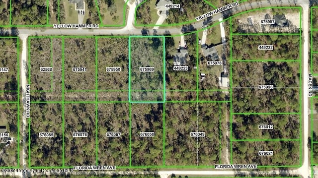 Listing photo 3 for 0 Yellow Hammer Rd, Weeki Wachee FL 34614