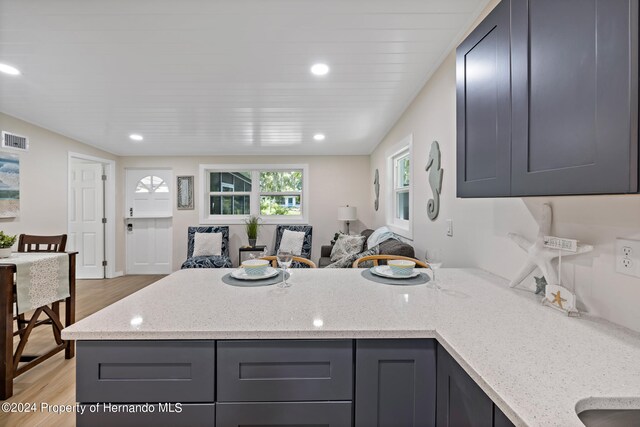 kitchen featuring light stone countertops, gray cabinetry, and light hardwood / wood-style flooring