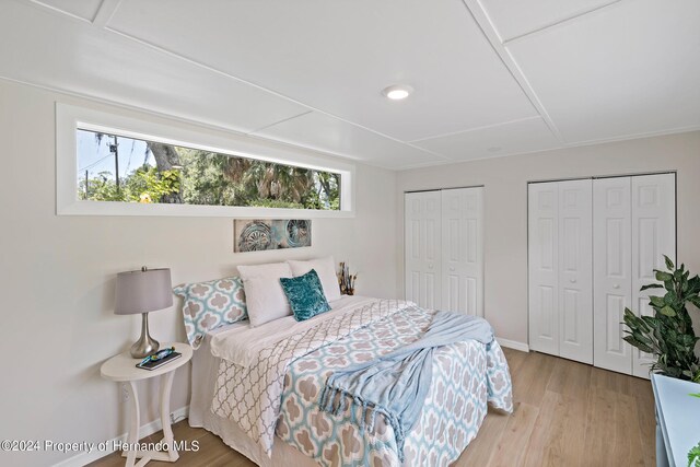 bedroom with light hardwood / wood-style floors, multiple windows, and two closets