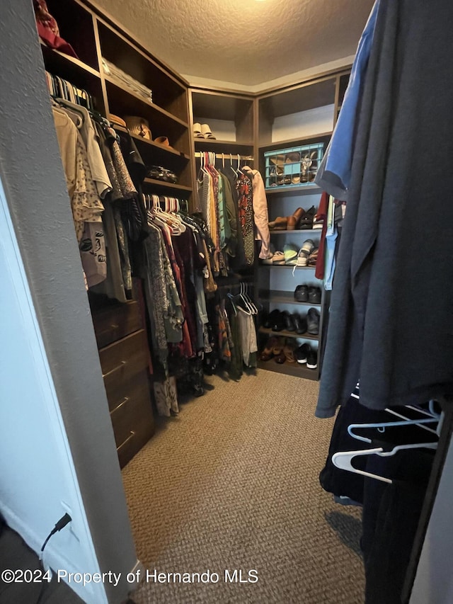 walk in closet with carpet floors