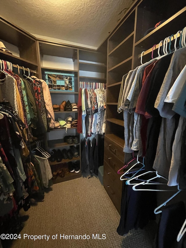 walk in closet featuring carpet