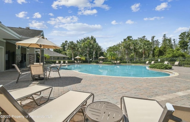 view of swimming pool with a patio