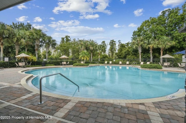 view of swimming pool featuring a patio