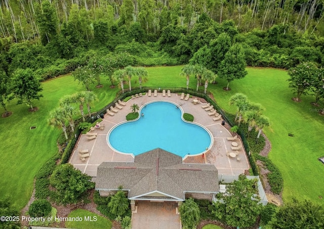 view of pool with a yard