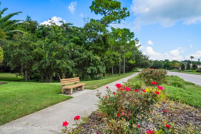 surrounding community with a yard