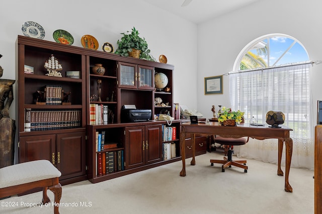 21312 Preservation Dr, Land O Lakes, FL 34638 - home office with light colored carpet