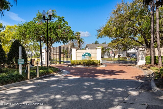 21312 Preservation Dr, Land O Lakes, FL 34638 - view of road with street lights, a gate, and curbs