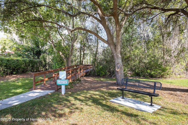 21312 Preservation Dr, Land O Lakes, FL 34638 - view of community with a yard